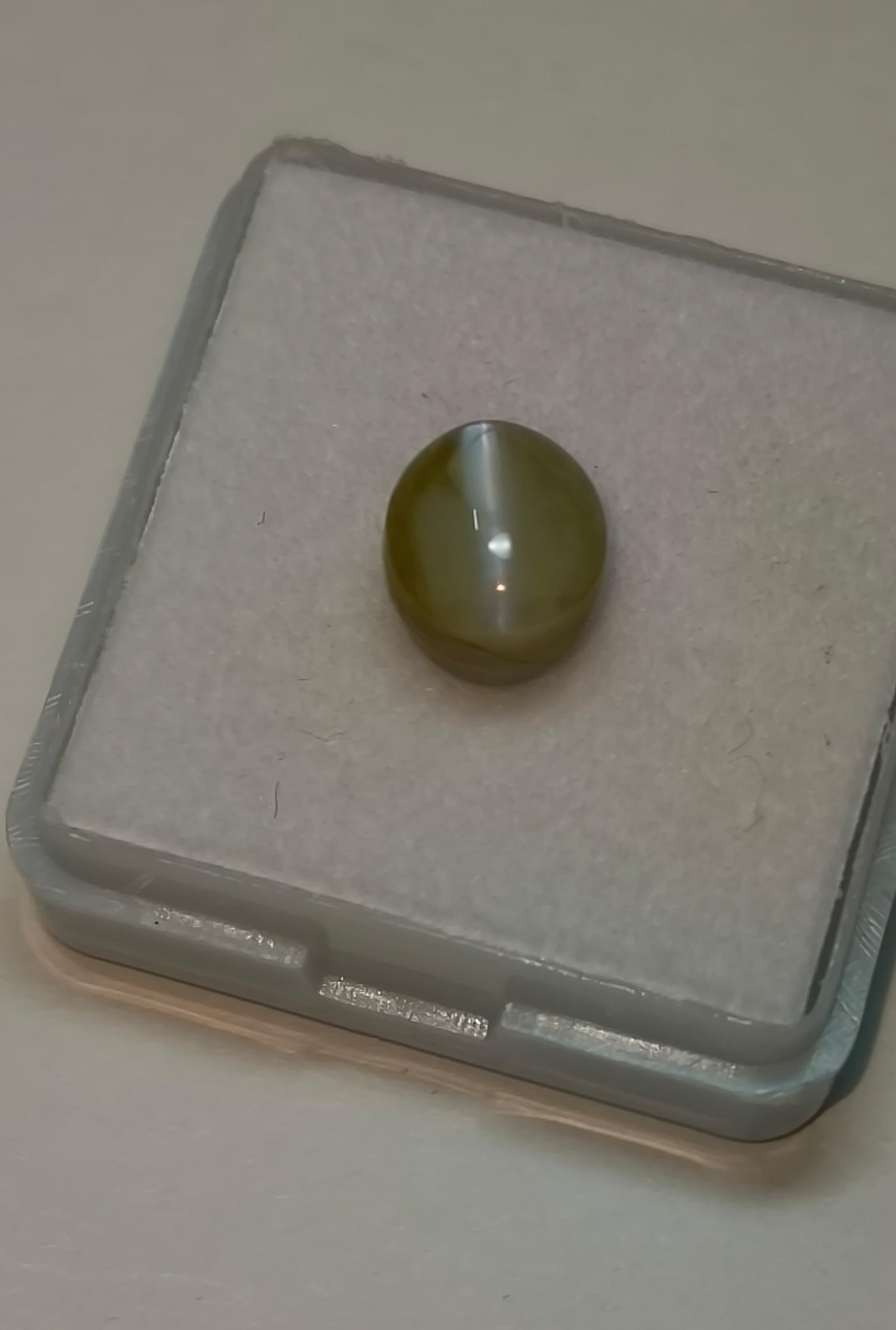 Natural Cats Eye (Lehsunia) 5.27 Ratti – Premium Certified Gemstone