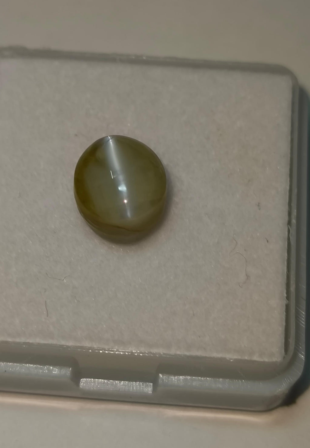 Natural Cats Eye (Lehsunia) 5.27 Ratti – Premium Certified Gemstone