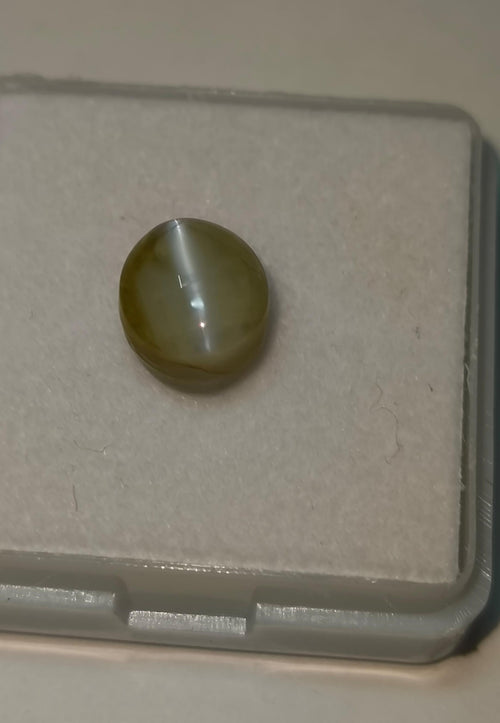 Natural Cats Eye (Lehsunia) 5.27 Ratti – Premium Certified Gemstone