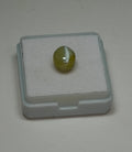 Natural Cats Eye (Lehsunia) 5.27 Ratti – Premium Certified Gemstone