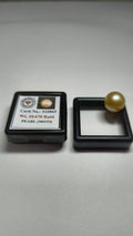Natural South Sea Pearl 10.67 Ratti – Premium Certified White Pearl (Moti) Gemstone