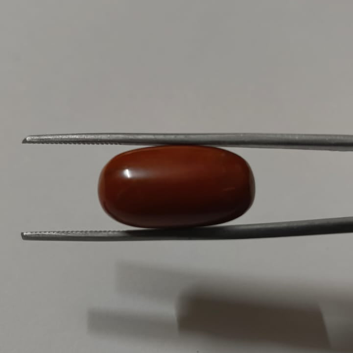Natural Red Coral (Moonga) 18.44 Ratti (16.60 Carat) | Certified Red Coral Gemstone | Original Moonga for Ring & Pendant