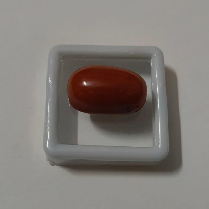 Natural Red Coral (Moonga) 19.33 Ratti (17.40 Carat) | Certified Red Coral Gemstone | Original Moonga for Ring ,Pendant & Gifting.