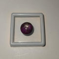 Natural Star Ruby Gemstone Approx. 8.33 Ratti | Genuine Ruby with Asterism Effect.