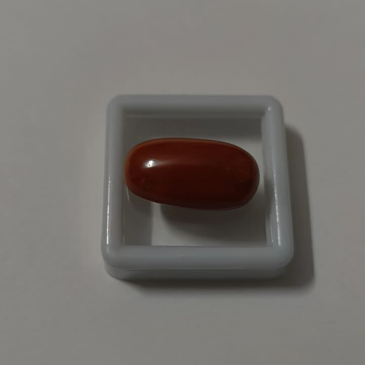 Natural Red Coral (Moonga) 18.44 Ratti (16.60 Carat) | Certified Red Coral Gemstone | Original Moonga for Ring & Pendant