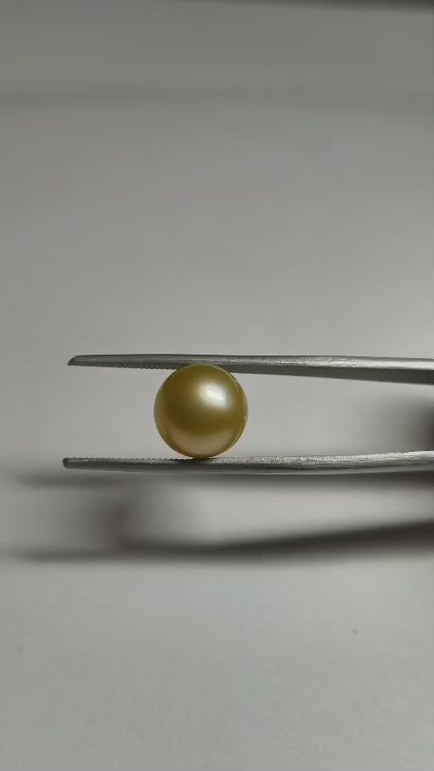 Natural South Sea Pearl 10.67 Ratti – Premium Certified White Pearl (Moti) Gemstone