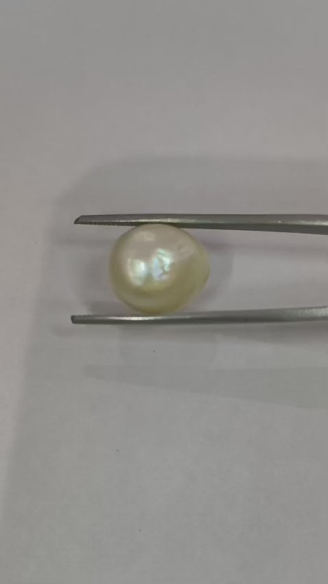 "Natural Pearl (Moti) 11.11 ratti Gemstone – Premium Quality Original Chandra Mani for Jewellery"