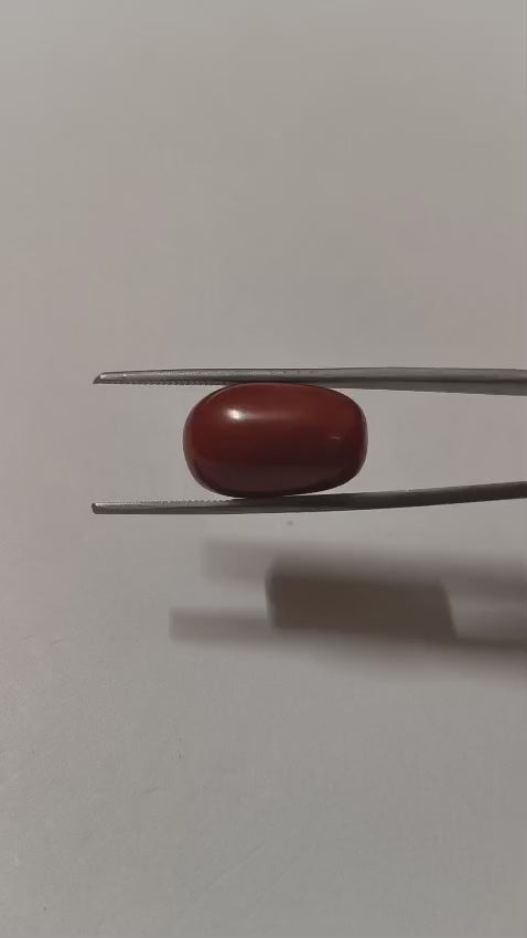 Natural Red Coral (Moonga) 19.33 Ratti (17.40 Carat) | Certified Red Coral Gemstone | Original Moonga for Ring ,Pendant & Gifting.