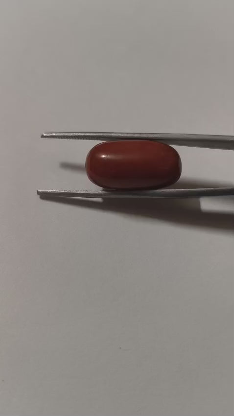 Natural Red Coral (Moonga) 18.44 Ratti (16.60 Carat) | Certified Red Coral Gemstone | Original Moonga for Ring & Pendant