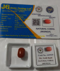 Natural Red Coral (Moonga) 9.64 Ratti Certified Gemstone | Premium Quality Astrological Stone